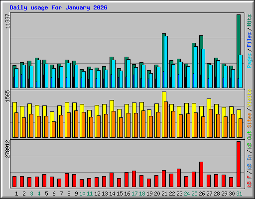 Daily usage for January 2026
