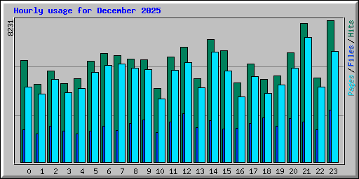 Hourly usage for December 2025