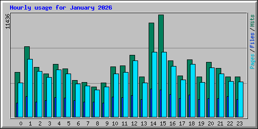 Hourly usage for January 2026