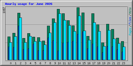 Hourly usage for June 2026