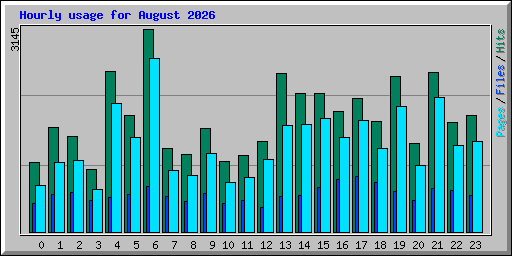 Hourly usage for August 2026